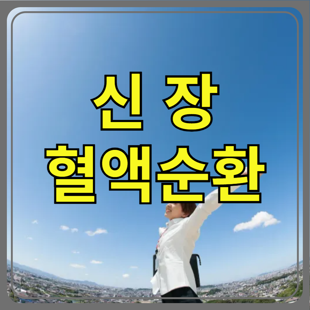 신장 혈액순환 개선
