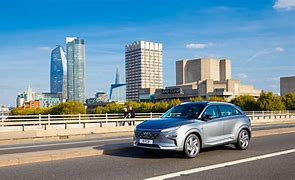 자동차공동명의