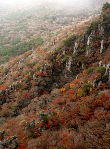 2025 한라산 단풍 절정시기 공개! 가을 초보자 코스 완벽 정리