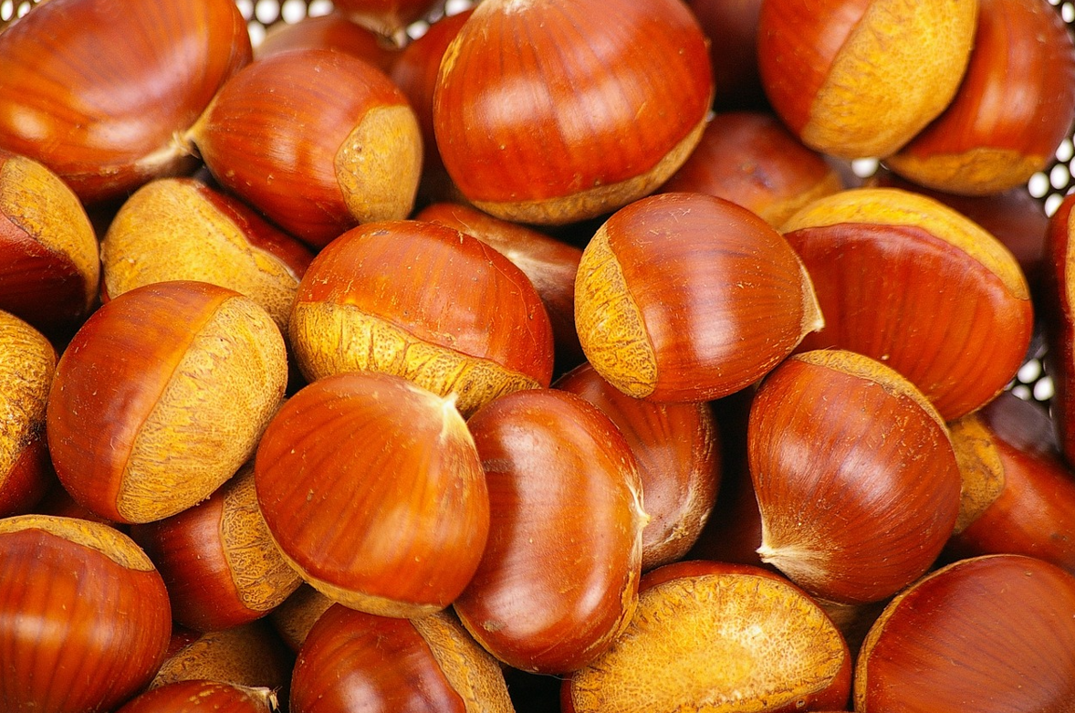 2024 추석연휴 롯데택배 마감 일정