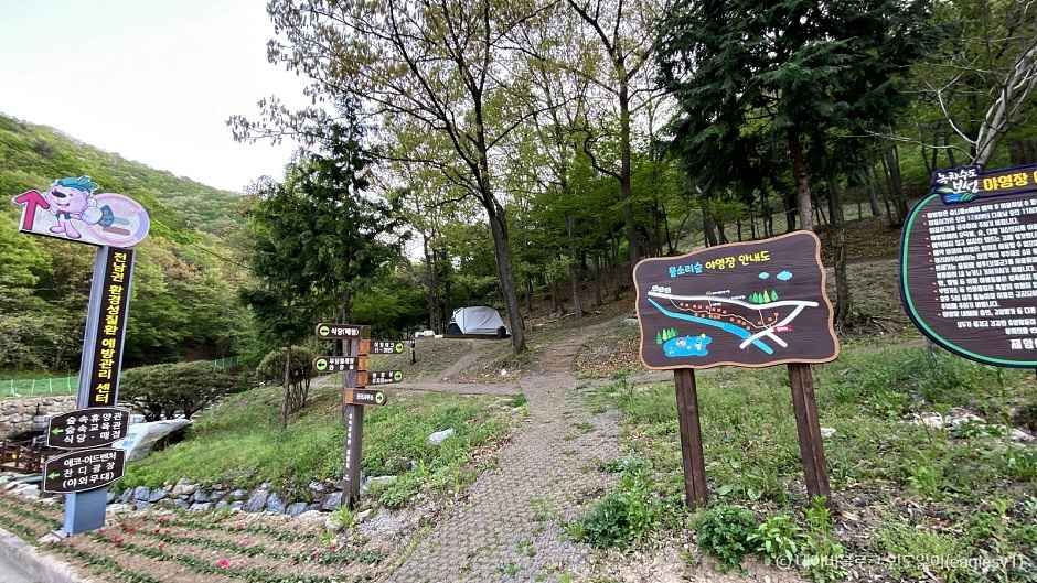 보성 가볼만한곳 베스트10