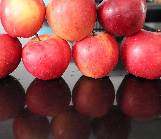 복부ct로 알수있는질병 6