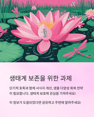 앞으로의 과제와 생태 보존 전략