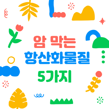 암 물리치는 항산화 성분 5가지 그리고 함유 식품