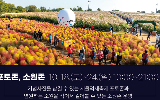 서울-억새축제-15