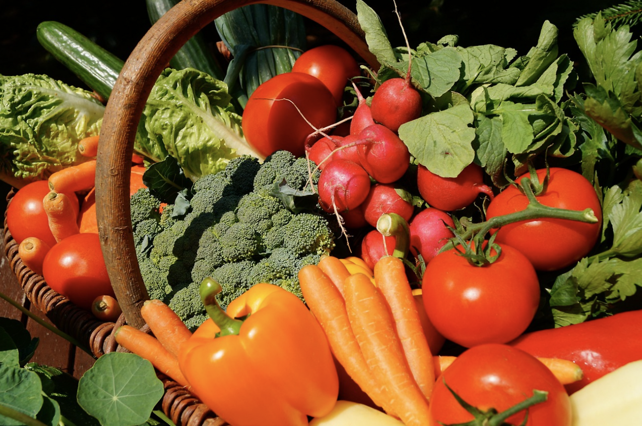 바구니에 담긴 다양한 신선한 채소들