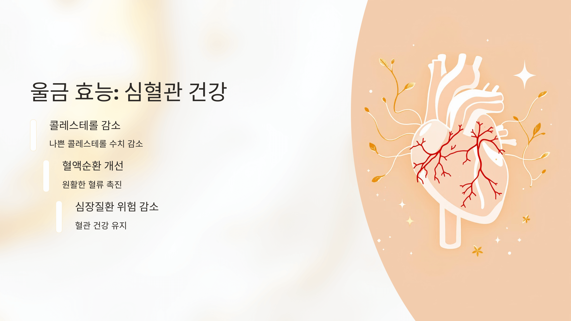 울금 사진입니다.