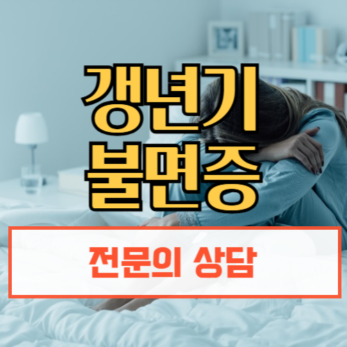 갱년기불면증