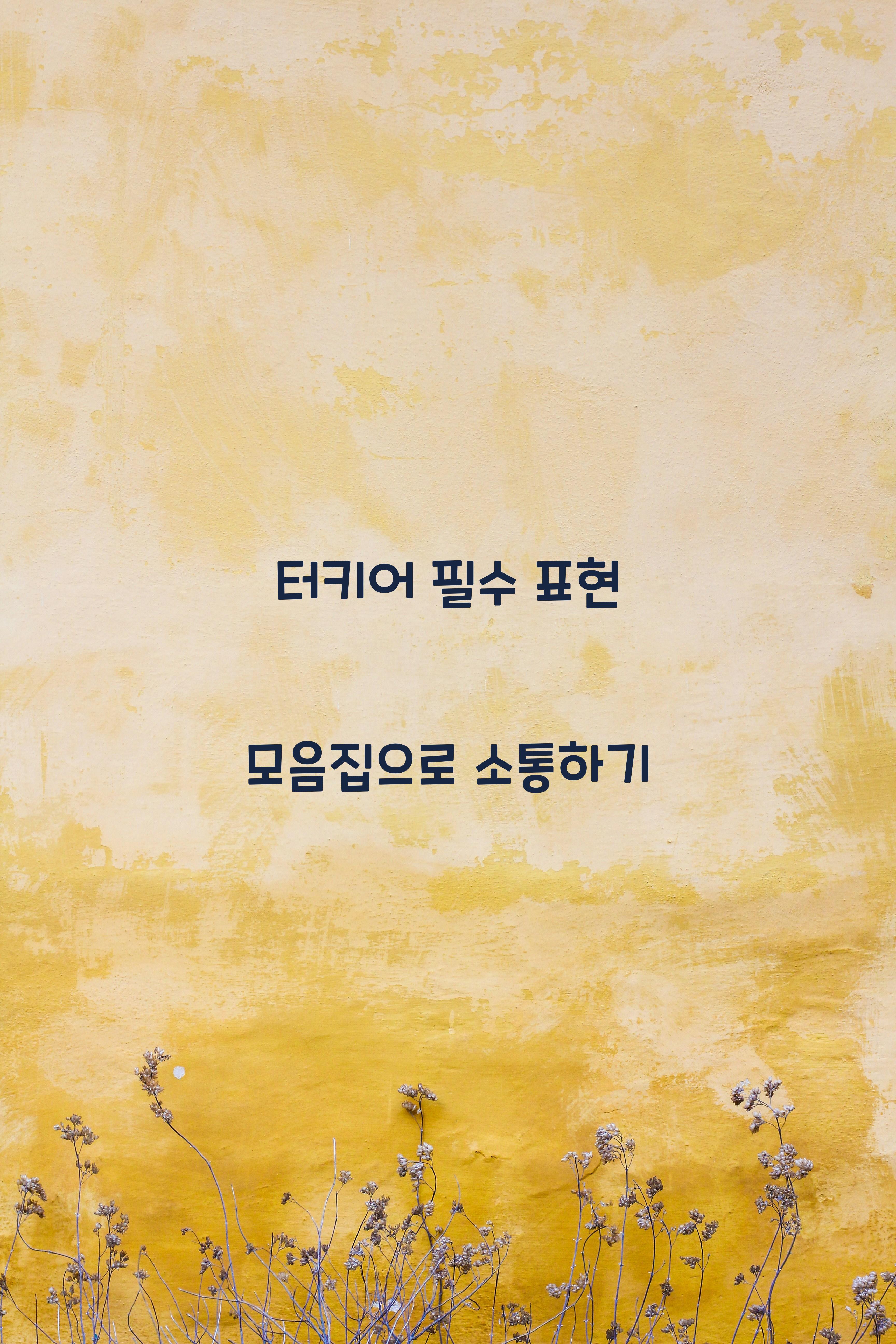 터키어