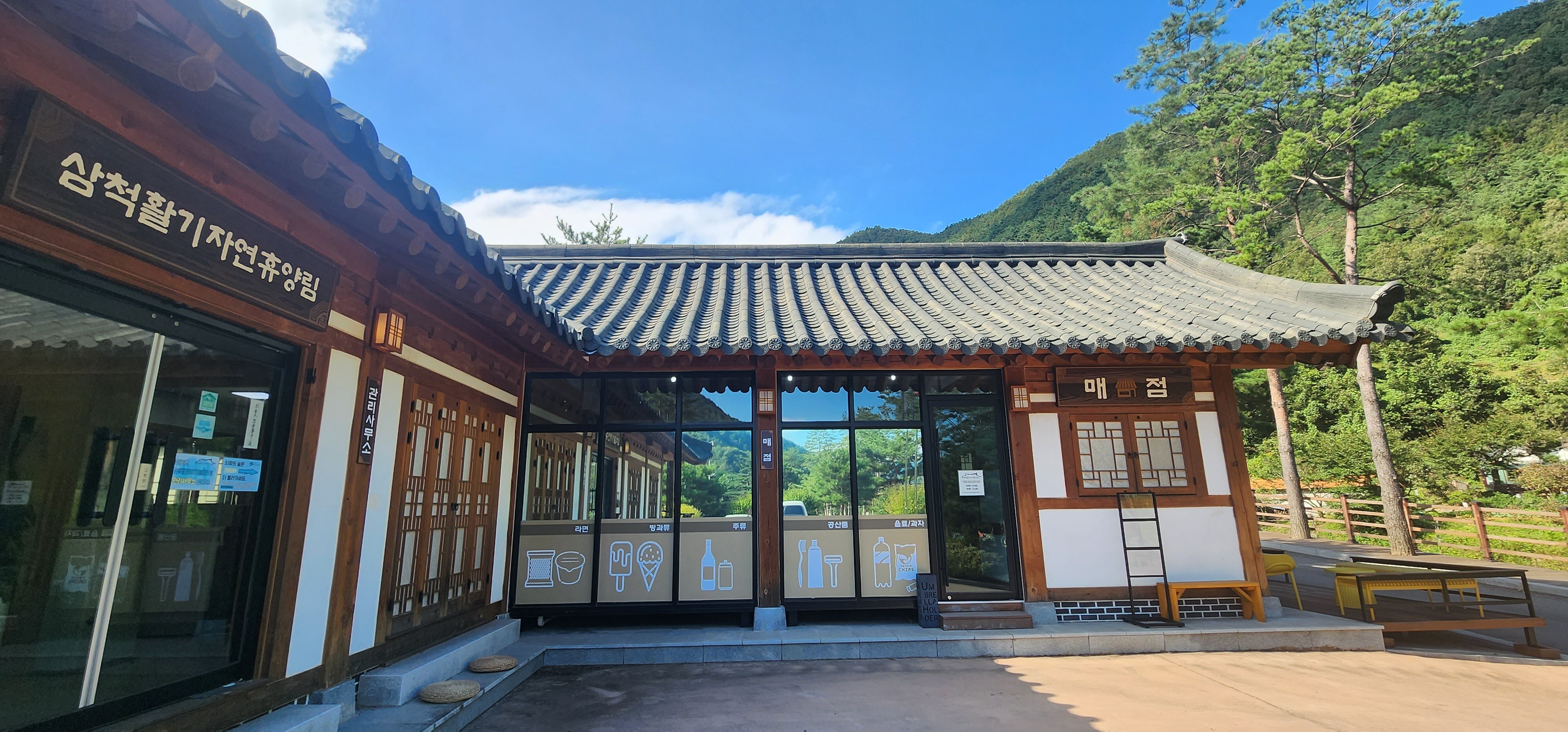 삼척 활기 자연휴양림 치유의 숲 주변 맛집 카페 마트 시장 특산물 강아지 동반 정보