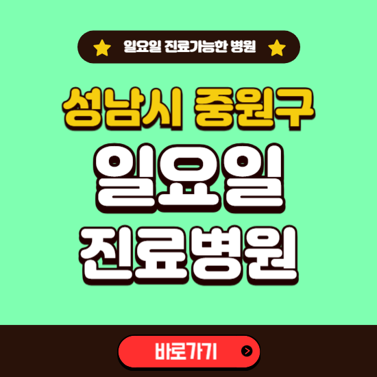 성남시 중원구 일요일 진료 가능한 병원 ❘ 주말 문여는 곳 총정리 (소아과, 내과, 안과, 치과, 피부과, 정형외과, 산부인과)