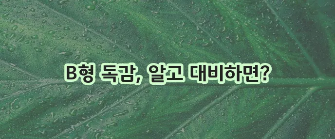 B형 독감 증상과 예방 방법을 자세히 알아봅시다!