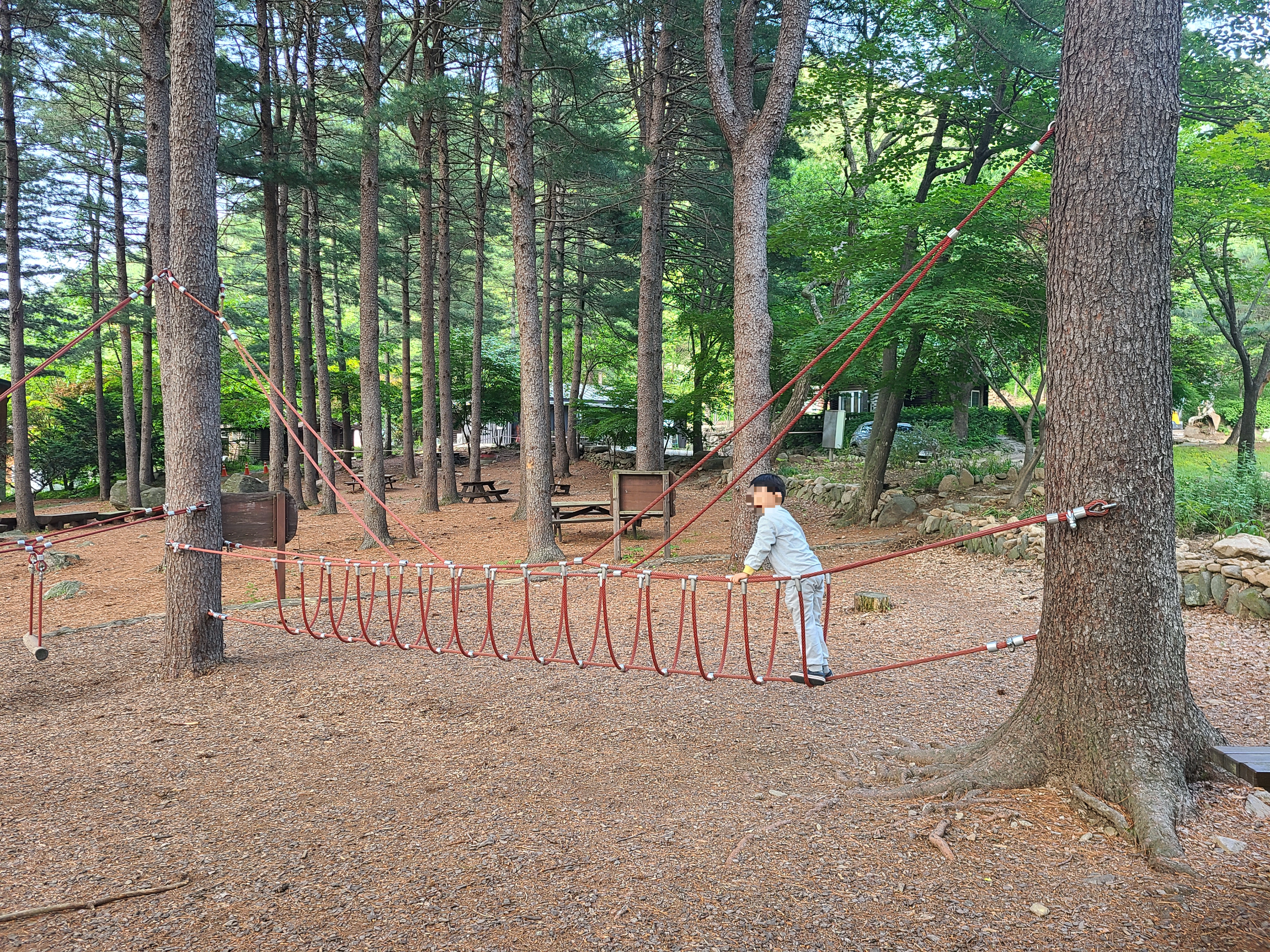 유명산자연휴양림 숲속놀이터 징검다리