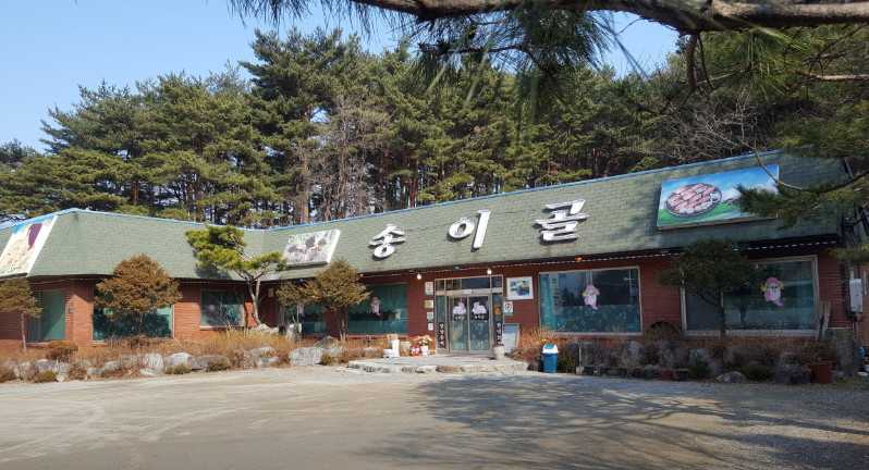 생생정보 양양 송이 요리 맛집
