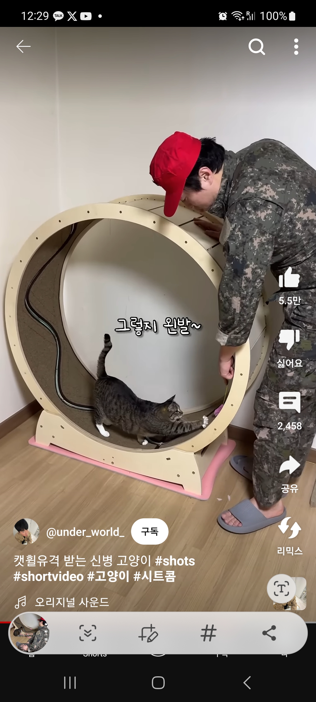 캣휠-안타는고양이-반품