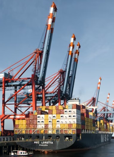 수입 통관 절차 상세 가이드