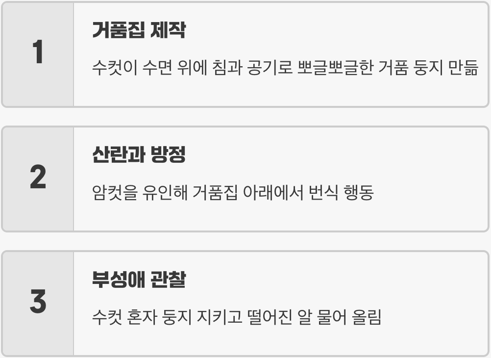 가장 큰 즐거움, 거품집과 번식