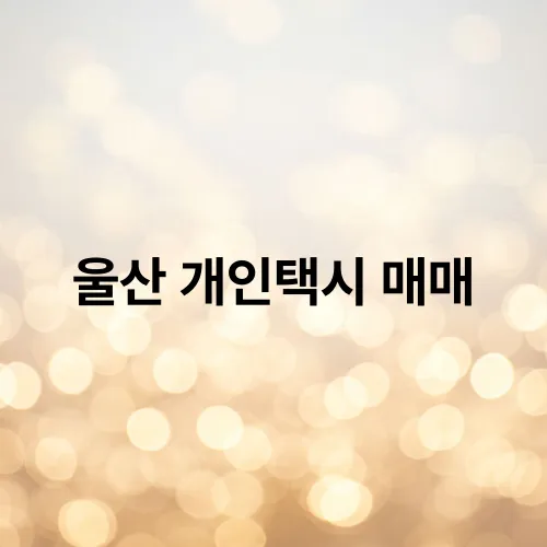 울산 개인택시 매매