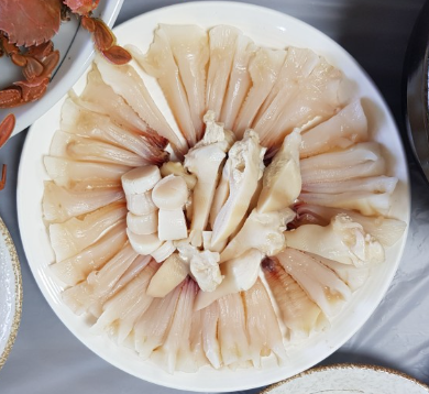 6시내고향 코끼리조개 왕우럭조개 홍해삼 구매 정보 경남 거제 한아름수산