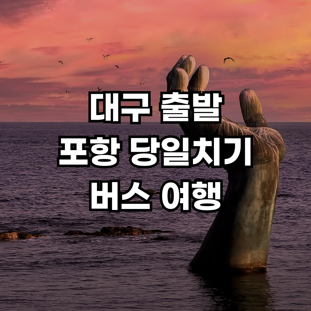 대구 출발 포항 당일치기 여행