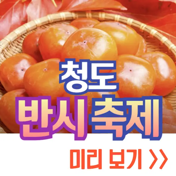 청도 반시축제