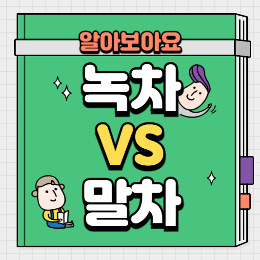 녹차와말차의차이