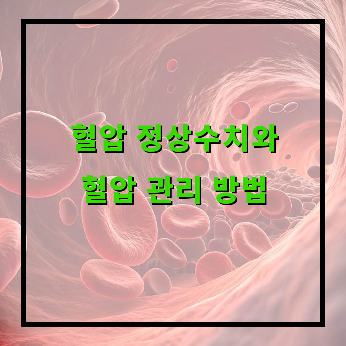 혈압 정상수치와 혈압 관리 방법