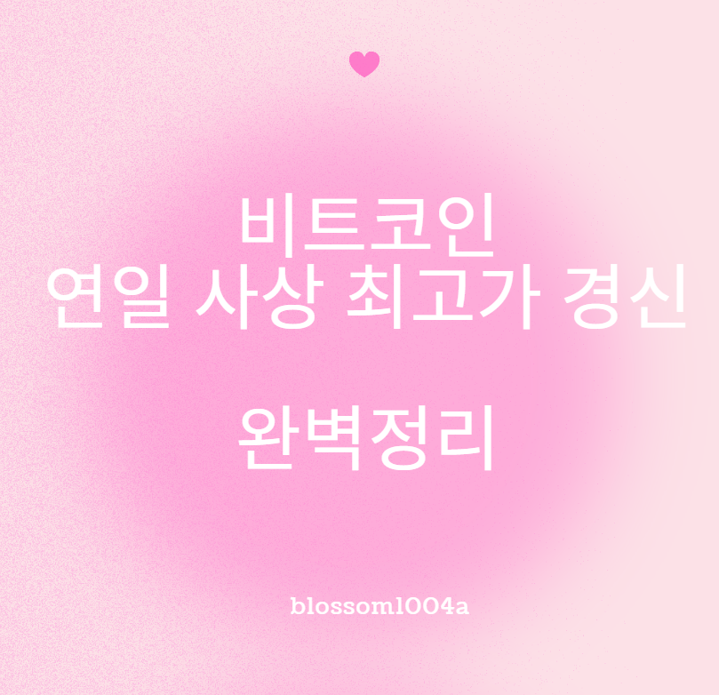 비트코인 연일 사상 최고가 경신! 얼마나 더 오를까?