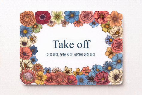 Take off 이륙하다