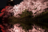 후쿠오카 여행 후쿠오카 마이즈루 공원