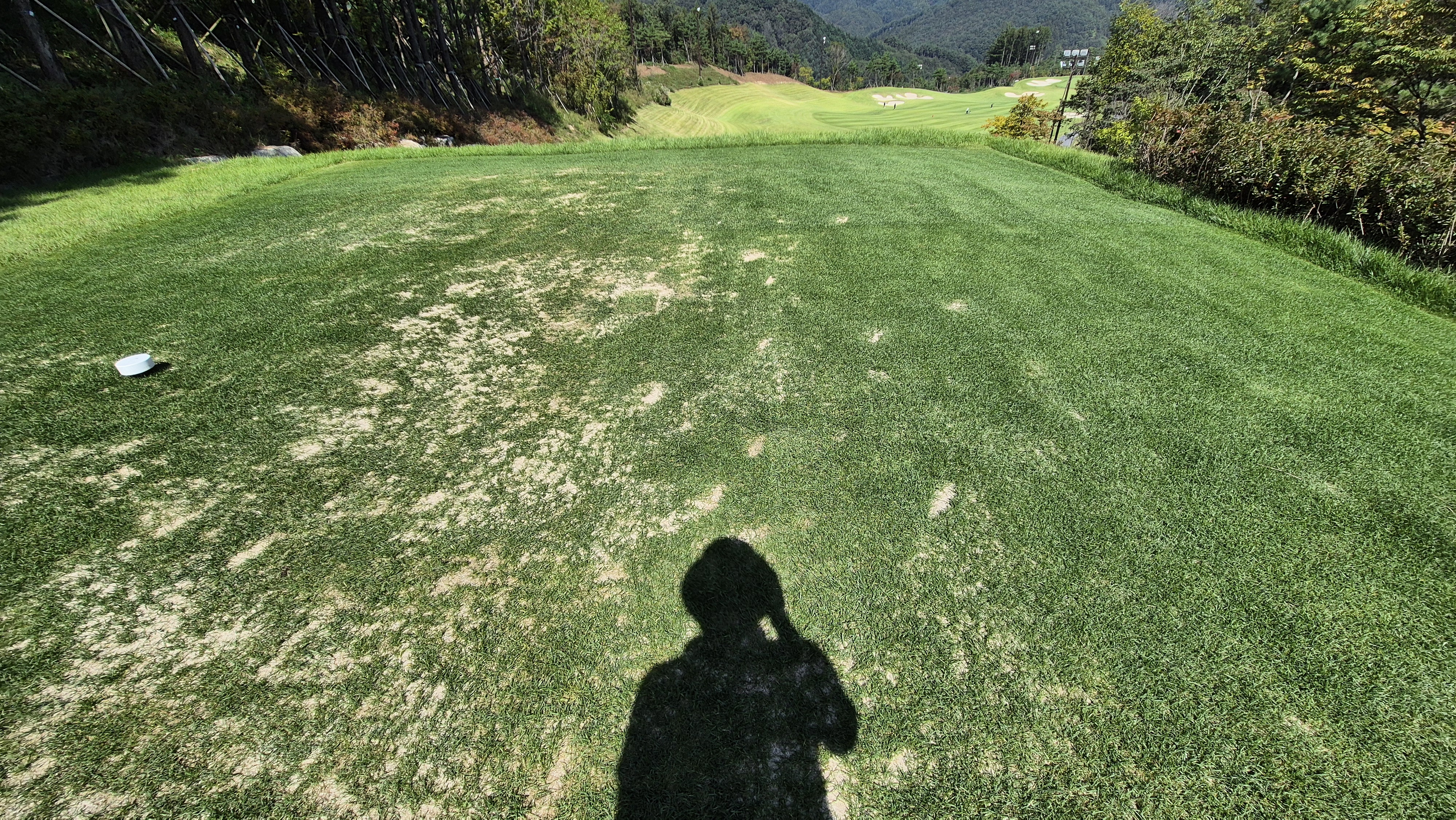 오로라cc 티잉구역 상태