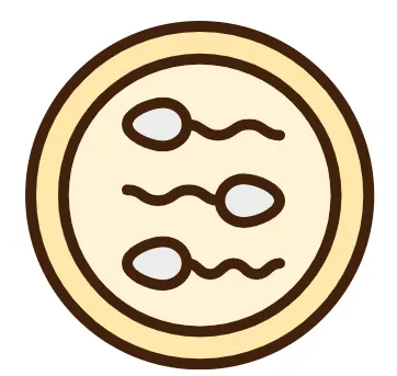 딸 낳는 방법-빠른 사정
