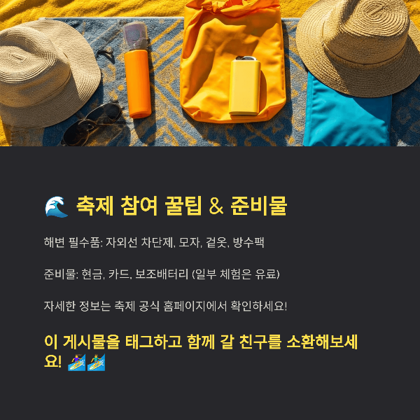축제 참여 꿀팁 &amp; 준비물