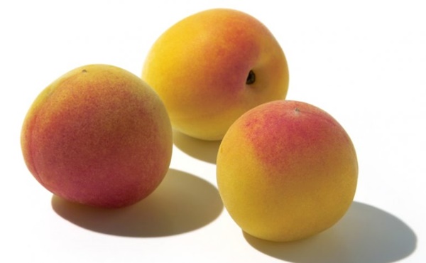 매실 액기스 효능