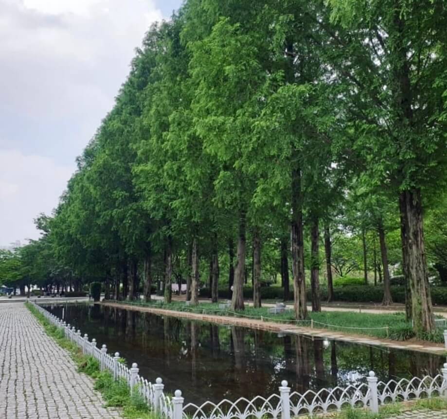 2025 서울숲 튤립 구경 가이드 관련사진