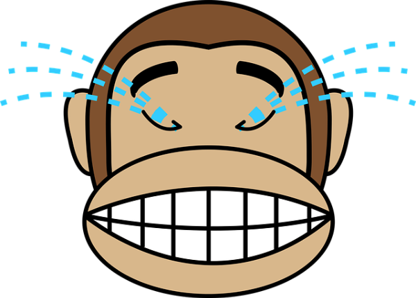 웃는 얼굴로 가짜 눈물을 흘리는 원숭이 얼굴