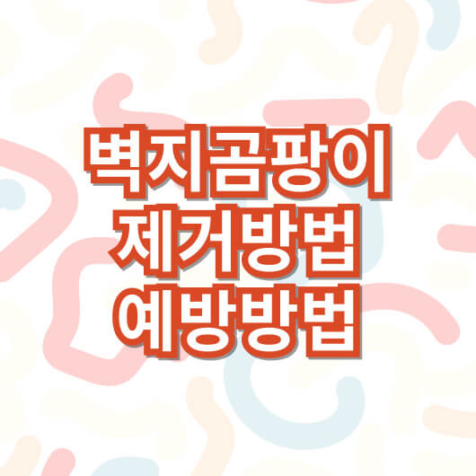 벽지-곰팡이-제거-방법