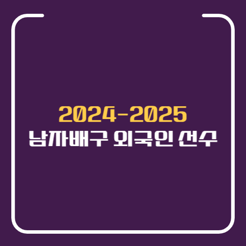 배구 외국인선수