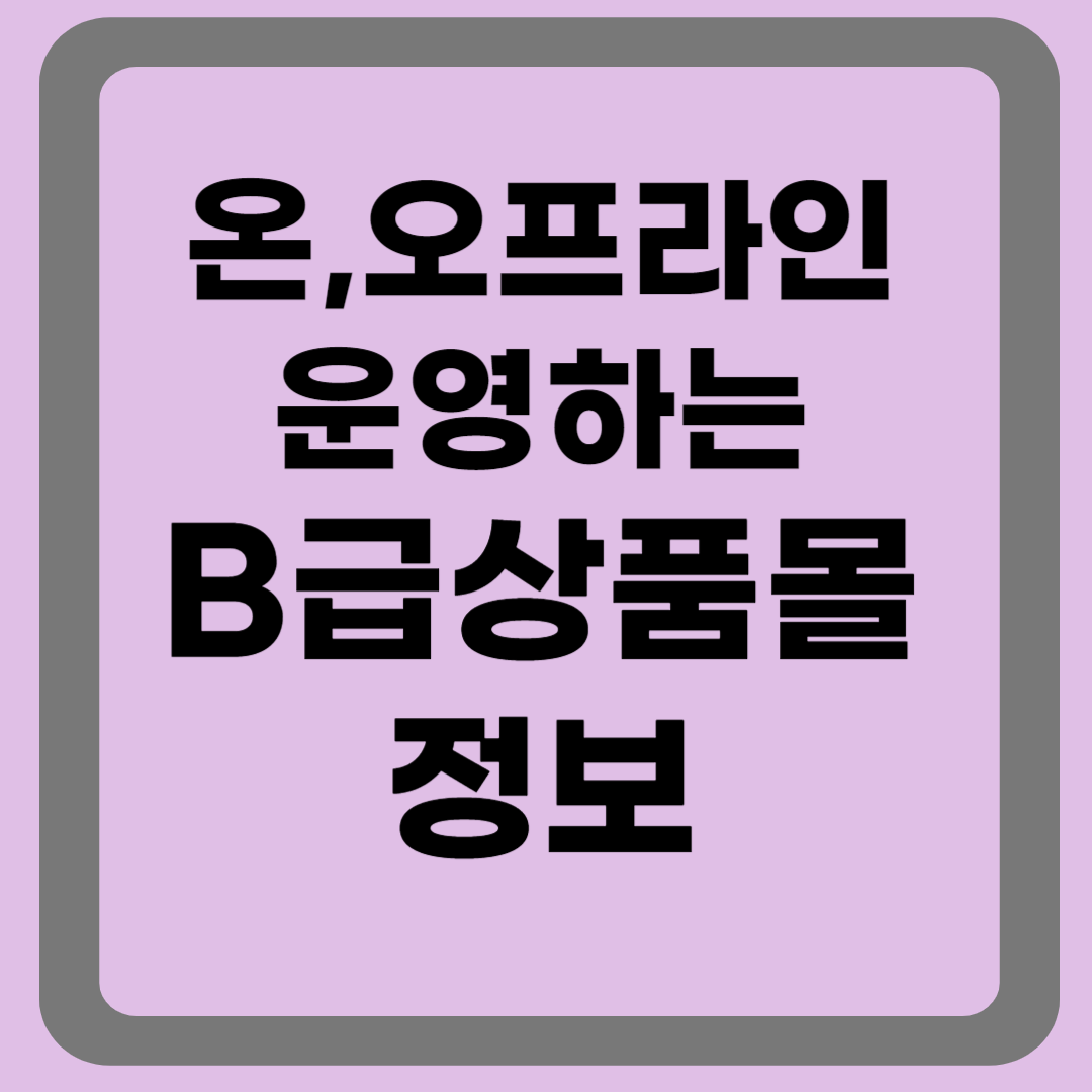 오프라인매장도 운영하는 B급 상품몰
