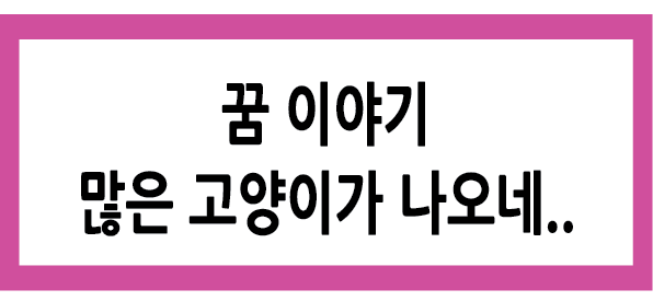 Alt 속성 문제 해결 설명 이미지