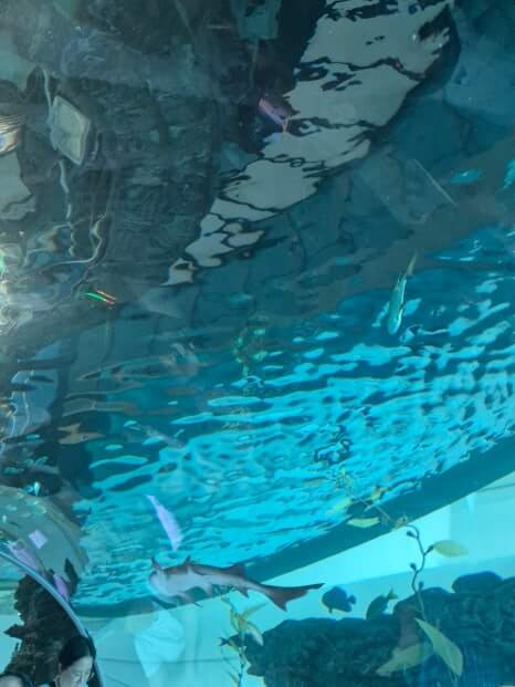 부산 아이랑 가볼만 한 곳