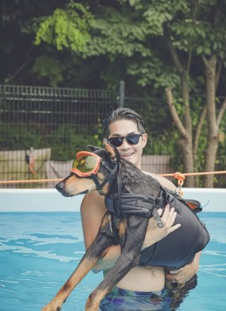 배정남 벨