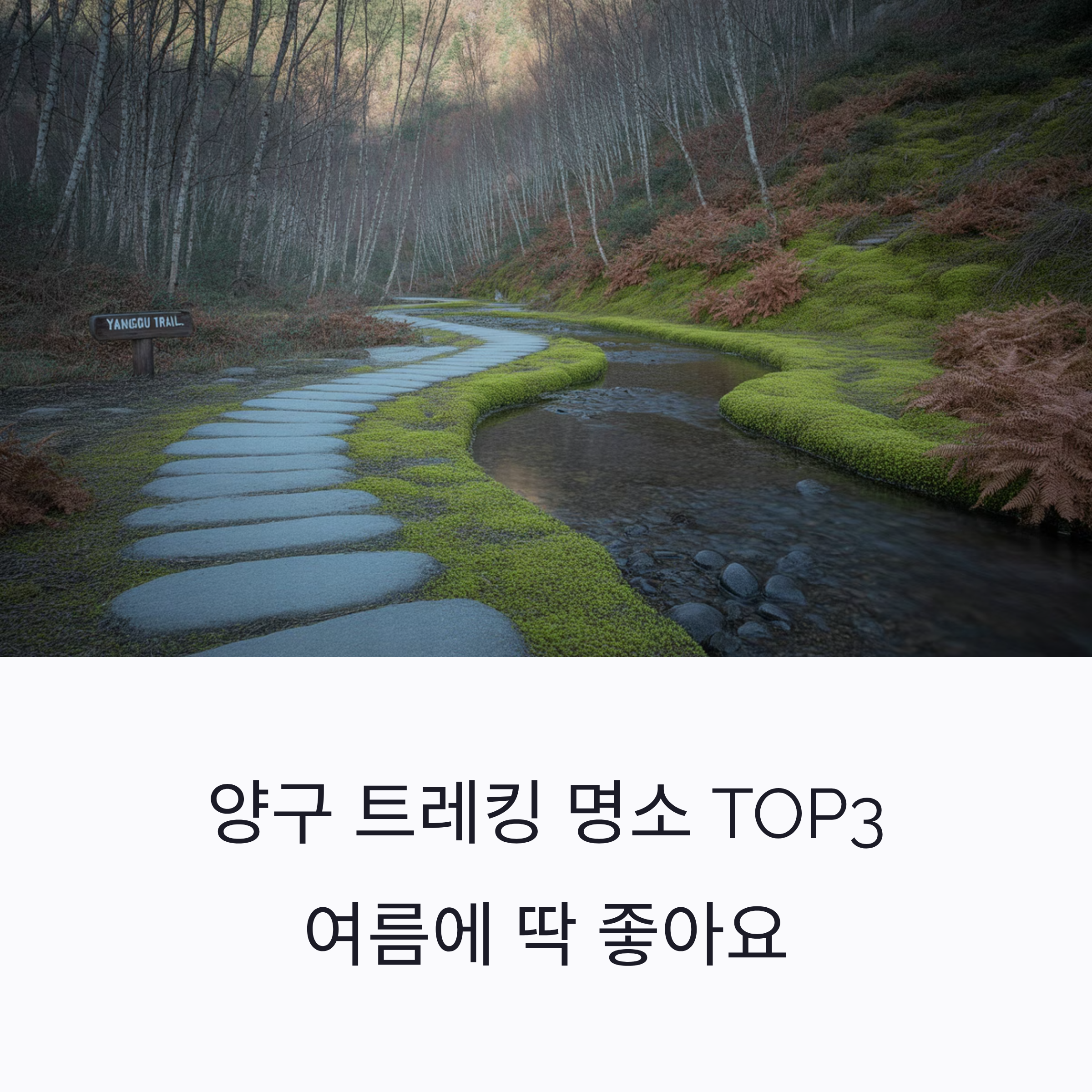 양구 트레킹 명소 TOP3