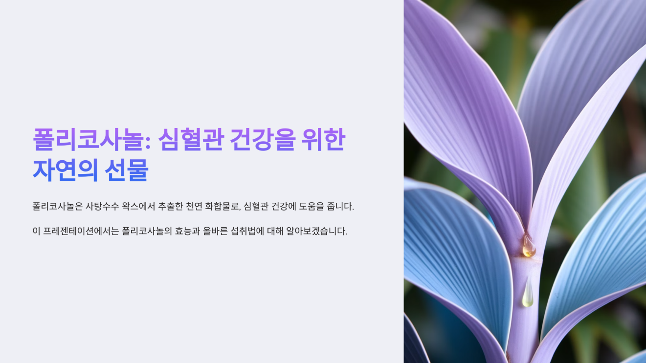 폴리코사놀 효능 1