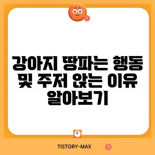 강아지 땅파는 행동 및 주저 앉는 이유 알아보기