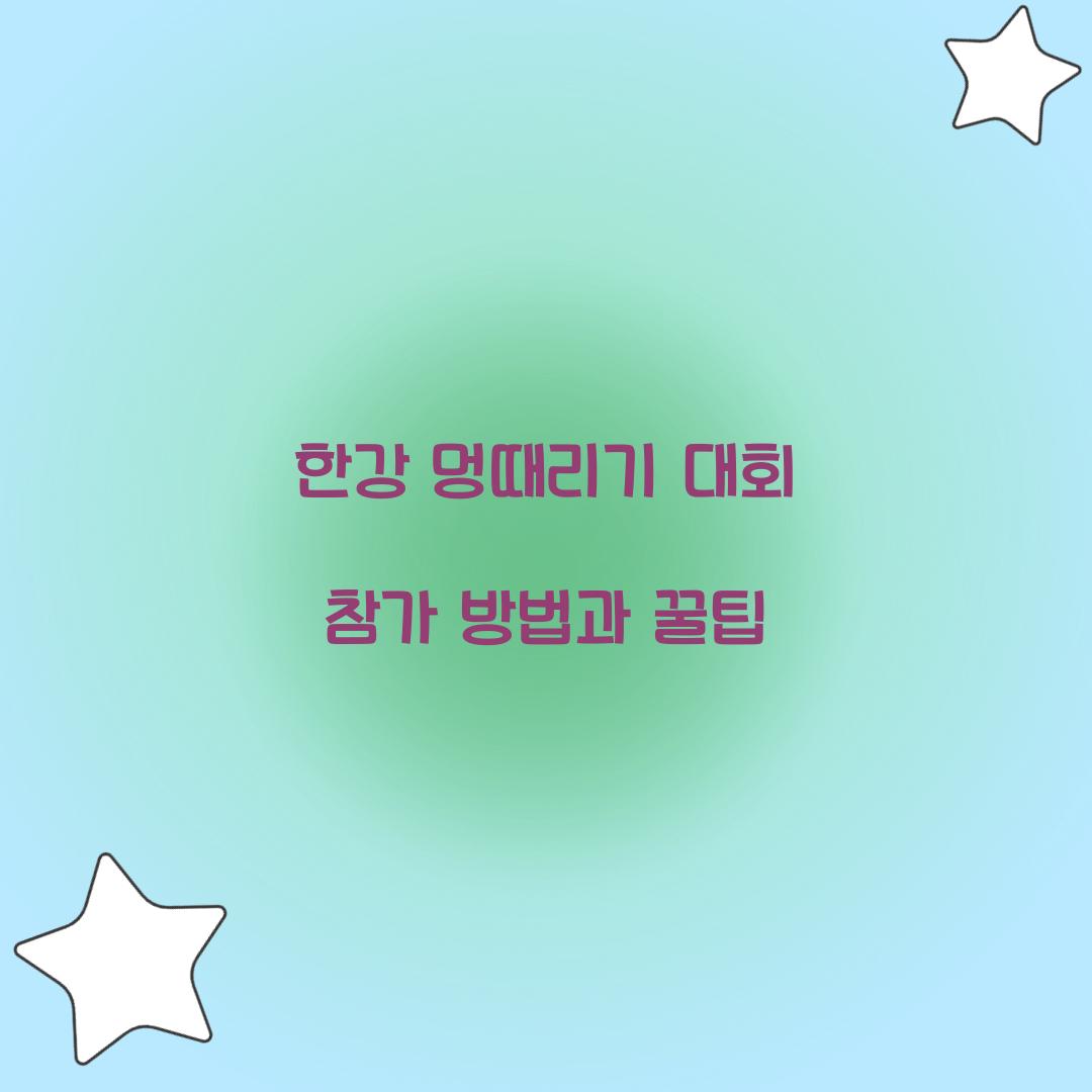 한강 멍때리기 대회