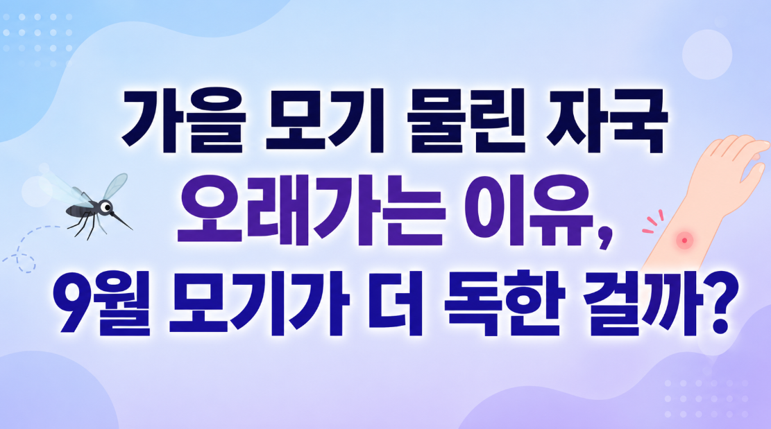 가을 모기 물린 자국 오래가는 이유, 9월 모기가 더 독한 걸까?