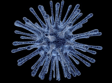 요로계 기형 및 방광요관역류, 방광 감염의 이면을 보다