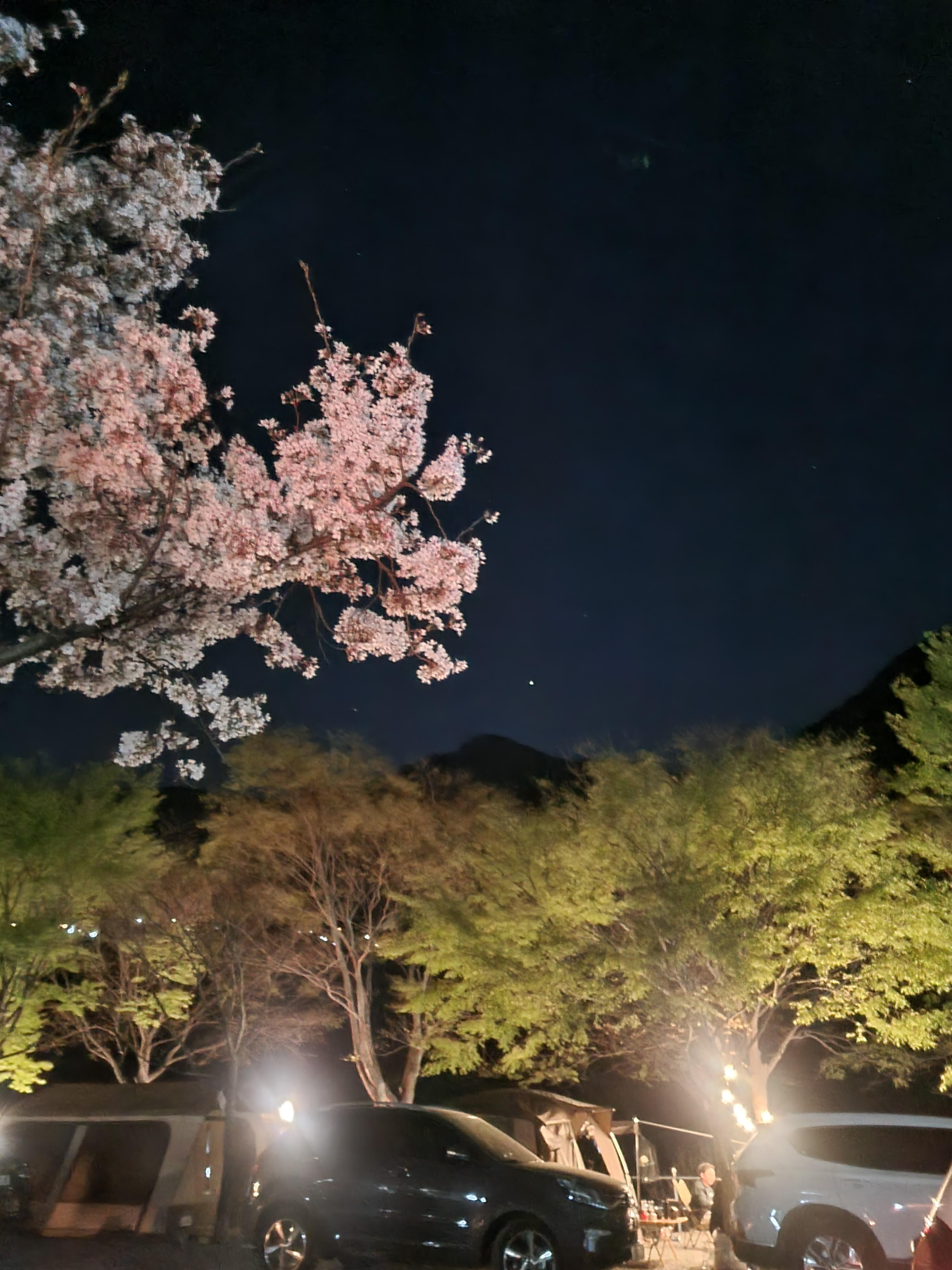 밀양 산여울 캠핑장