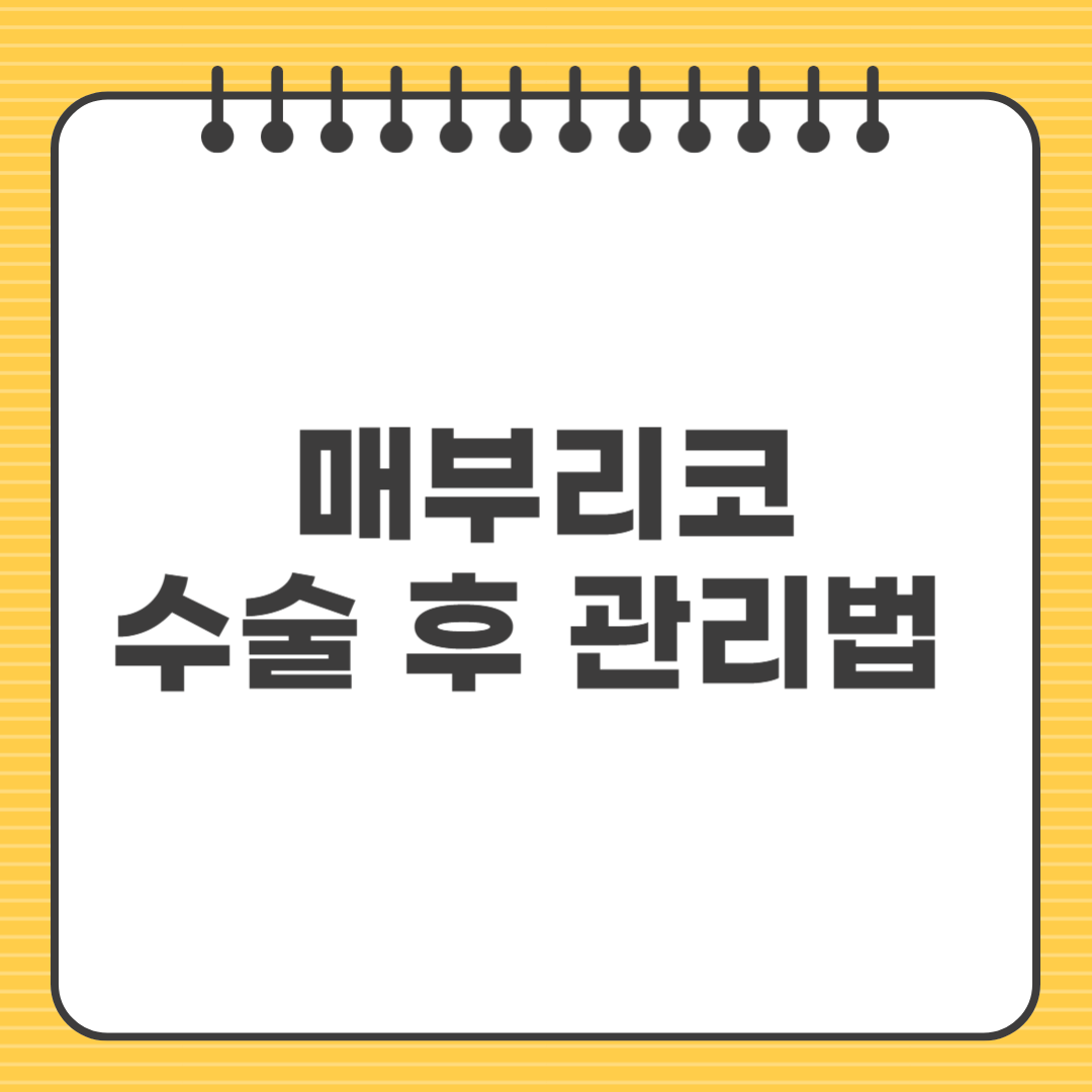 매부리코수술 후 관리법 및 주의사항 완벽 가이드